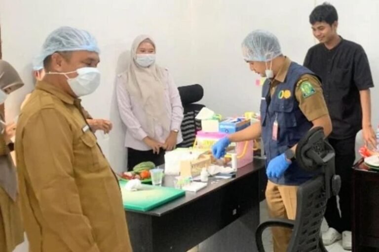 Simeulue Intensifkan Pemeriksaan Pestisida untuk Program Makan Bergizi Gratis