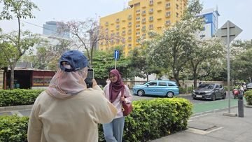 Tabebuya Mekar di Cikini, Jakarta Jadi Mirip Taman Korea